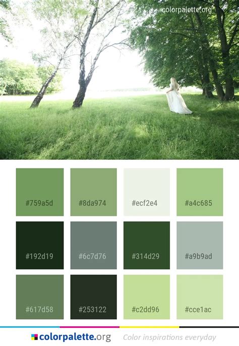 Photograph Green Grass Color Palette