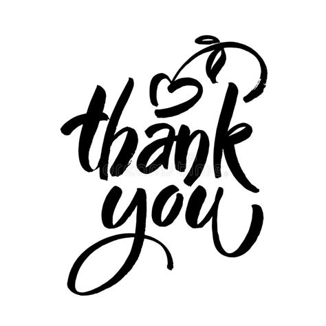Thank You Text On White Background Calligraphy Lettering Modern Brush
