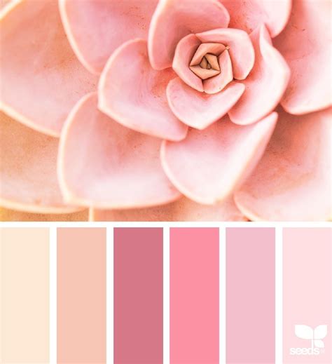 Myca On Instagram Paleta De Cor Inteira Rosa Pode Claro Que Pode