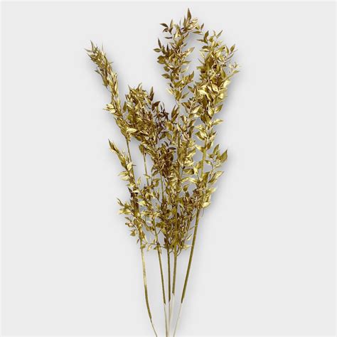 Soft Ruscus Preserved Gold Cm Wholesale Dutch Flowers Direct