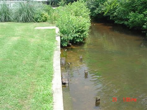 Pest control in conyers, ga provides a variety of services including pest control, termite control and lawn care to many locations around conyers, ga. Skunk, Muskrat, and Miscellanous Animal Control in Atlanta ...