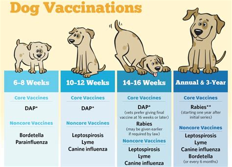 Can Unvaccinated Puppies Play With Vaccinated Dogs