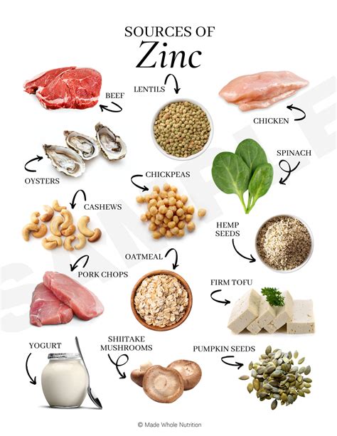 Sources Of Zinc Handout — Functional Health Research Resources — Made