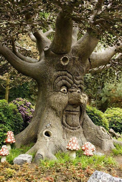The Old Man Mr Tree Amazing Nature Fairy Garden Garden Art Weird