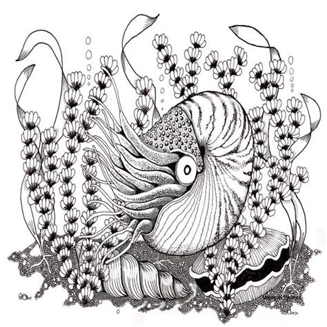 17 Best Images About Zentangle Sea On Pinterest Dolphins Dolphin Art