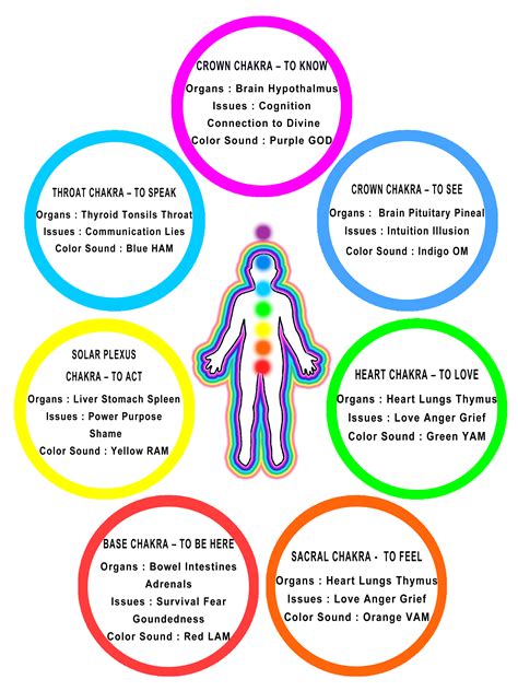 The Chakras Their Functions Gostica