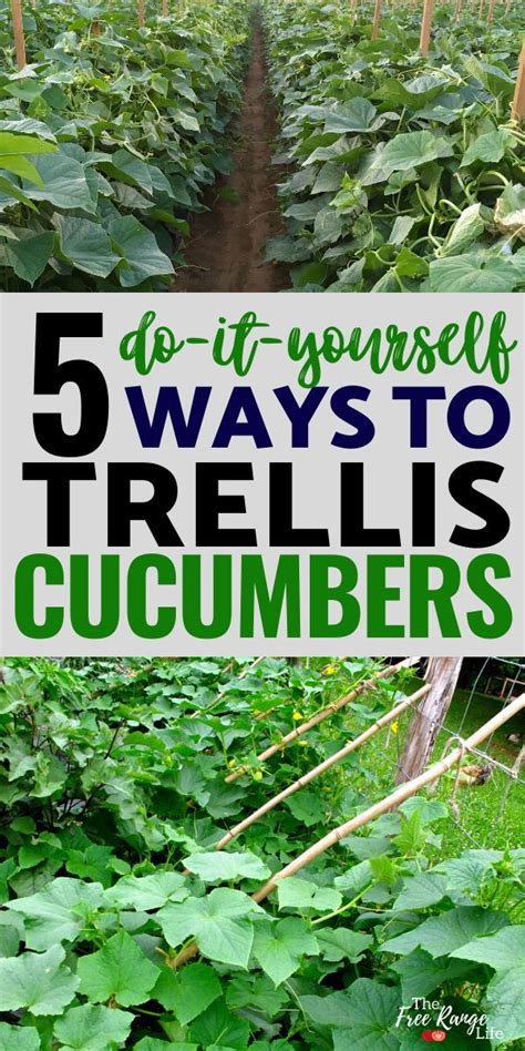 Garden Trellis Ideas For Cucumbers 15 Easy Diy Cucumber Trellis Ideas