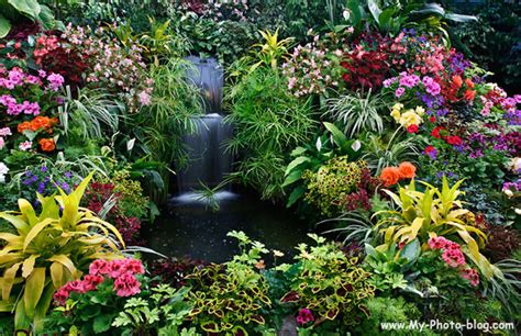 Download mp3 taman bunga pandeglang banten dan video mp4 gratis. Ada 8 Taman Bunga Terindah di Dunia | MARHANI ROSYADAH