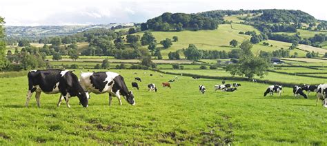 The Co Operative Launches Farming Groups In Support Of British Agriculture