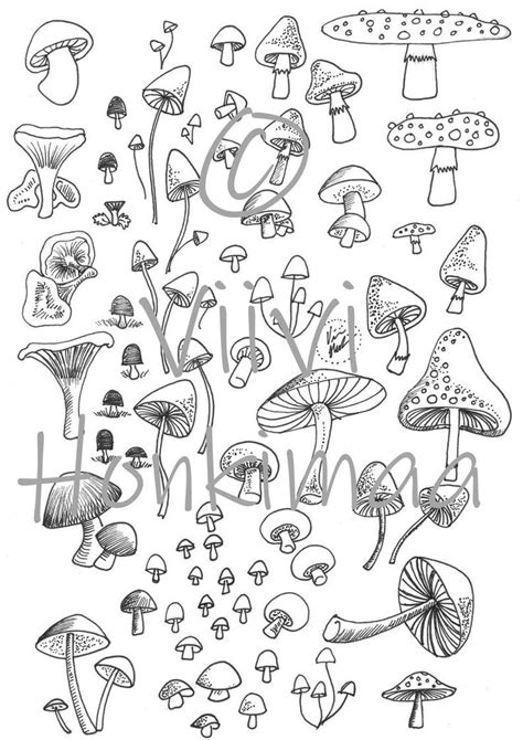 Pin On Mushroom And Frog Drawings