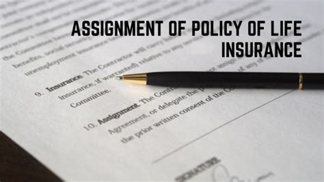model format  assignment  policy  life insurance aapka consultant
