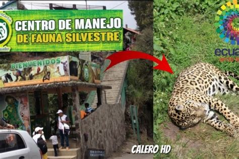 Eco Zoológico San Martín