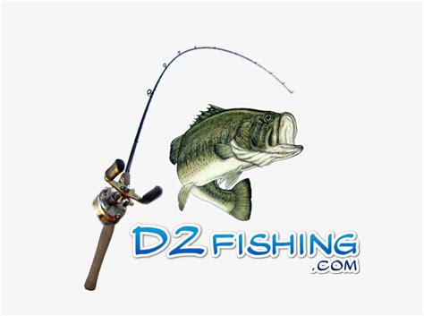 Oct 17, 2019 · steps download article 1. Largemouth Bass Drawing Easy