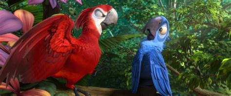 Birds From Rio And Rio 2 In Real Life Blog №2
