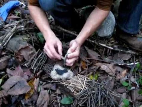 One of your best alternatives when it comes to starting a fire is using a ferro flint, my. Start Fire With Flint and Steel Demonstration during survival training weekend - YouTube