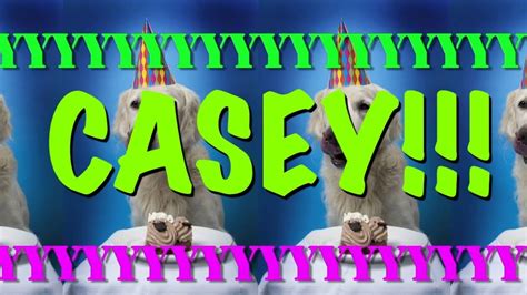Happy Birthday Casey Epic Happy Birthday Song Youtube