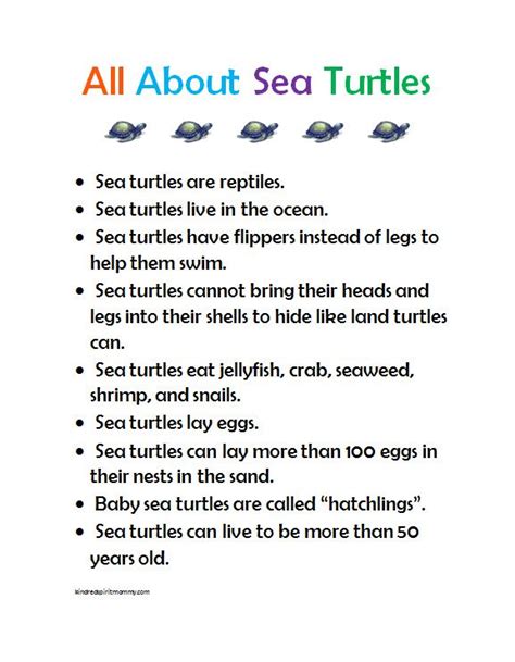 Turtle Activities Ocean Activities Preschool Activities Reptiles