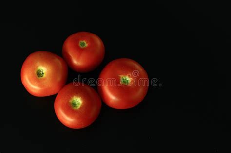 Four Red Polish Tomatoes Stock Photo Image Of Juicy 197302592