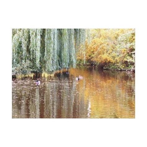 Weeping Willow Reflection Canvas Print Zazzle Canvas Prints