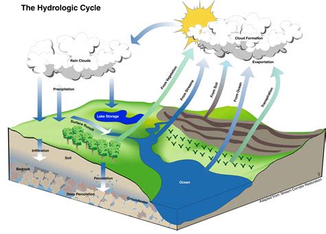 Hydrologic Cycle Fwee