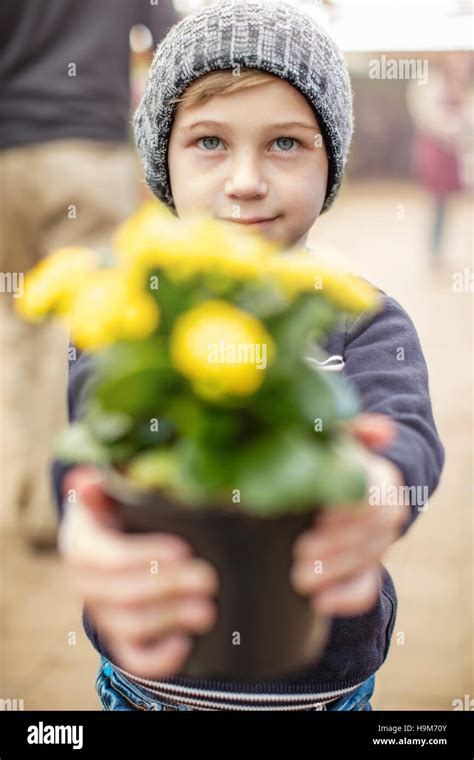 Boy Holding Yellow Flower Pot Stock Photo Alamy