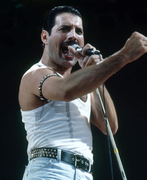 Freddie features in royal albert hall clip. Freddie Mercury | Simpsons Wiki | Fandom