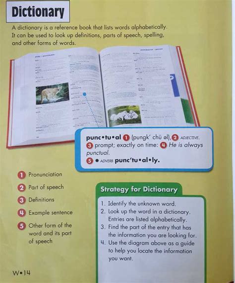 Dictionary And Glossary Ms Carolines Grade 4 Website