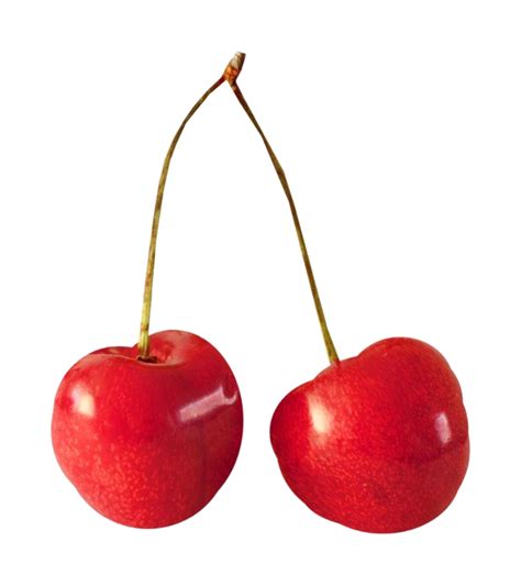 Cherry Png Free Image Png Play