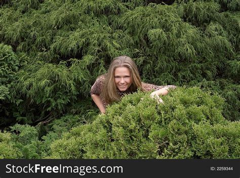 Cute Girl Hiding In Bushes Free Stock Images Photos StockFreeImages Com