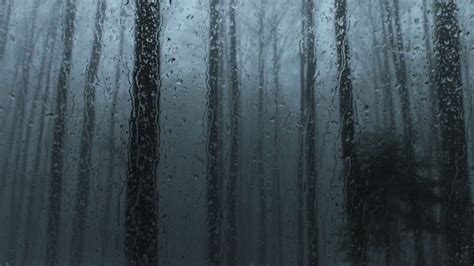 Sound Of Rain On A Window 1 Hour Window In A Dark Forest With Rain