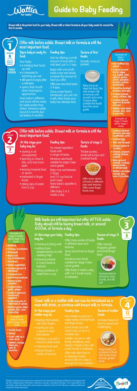 Even within the aap (american academy of pediatrics) there is a difference of opinion. The 4 stages of baby food. What to feed your baby ...