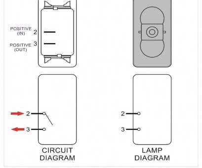 On off switch led rocker switch wiring diagrams oznium. 17 Nice 3, Momentary Toggle Switch Wiring Pictures - Tone Tastic