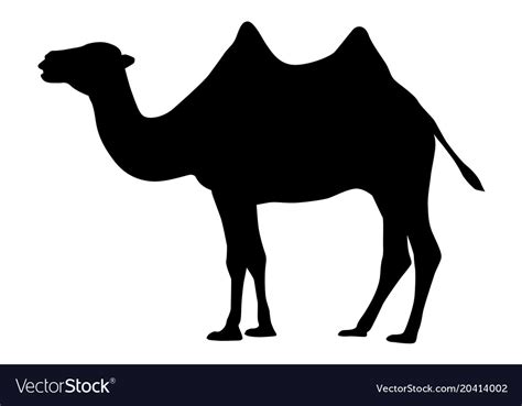 Camel Black Silhouette Royalty Free Vector Image Vlrengbr