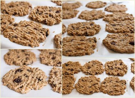 Get this list of keto chia seeds recipes here. AKU LAWAN KANSER: Chia Seed
