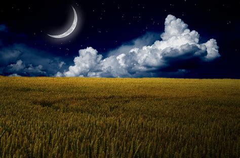 Moon Night Blue Sky Clouds Stars Grass 4k Wallpaper Best Wallpapers