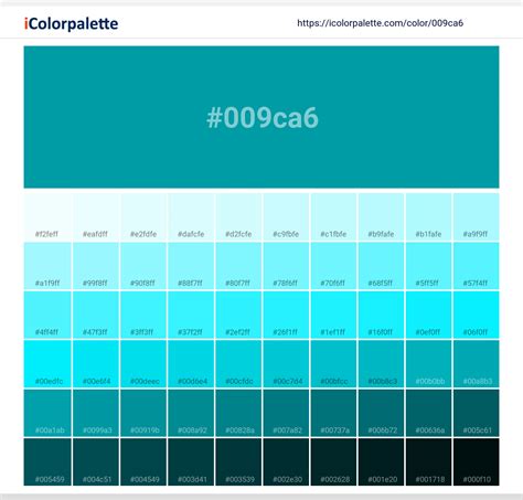 Pantone 320 C Color Hex Color Code 009ca6 Information Hsl Rgb