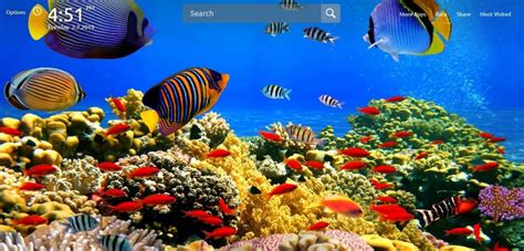 Fish Hd Wallpapers Theme Chrome Extension Chrome Extensions Qtab