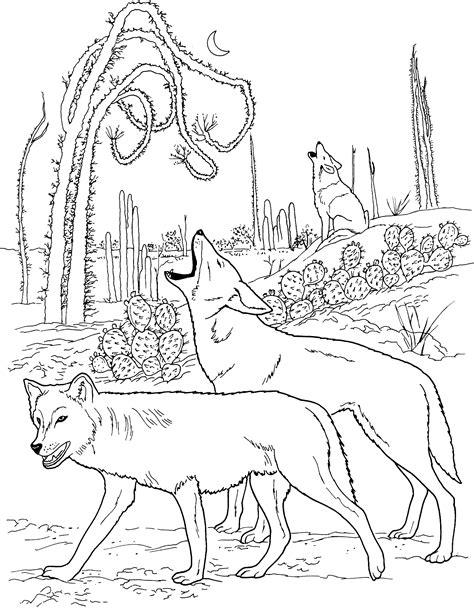 Wolf Printable Coloring Pages Customize And Print