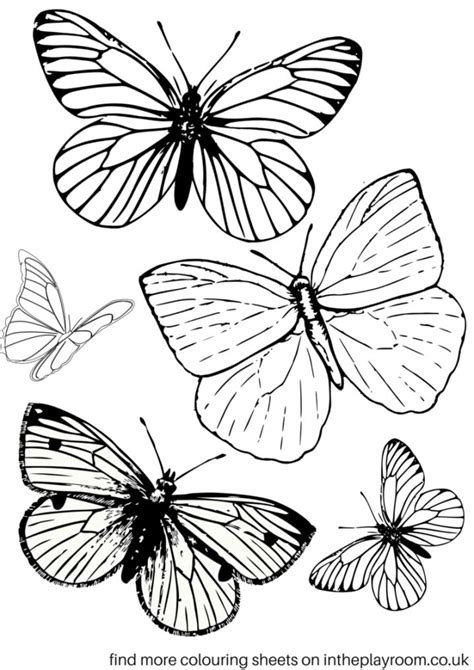 Free Printable Butterfly Colouring Pages Butterfly Coloring Page