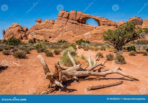 Picturesque Natural Stone Arches In The Moab Desert Stock Image Image