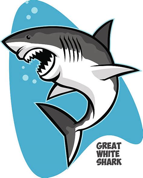 Shark Clip Art Vector Images And Illustrations Istock