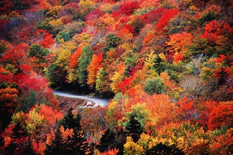Weather Channel Fall Foliage Forecast 2019 - Southern Living