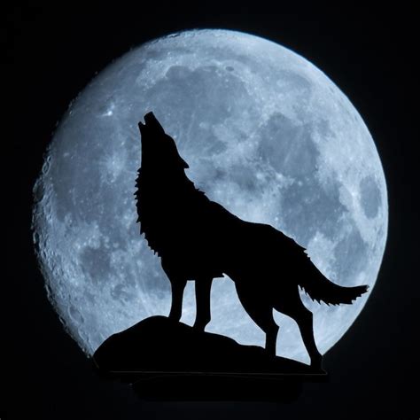 The Howling Wolf Silhouette Wolf Wallpaper Wolf Images