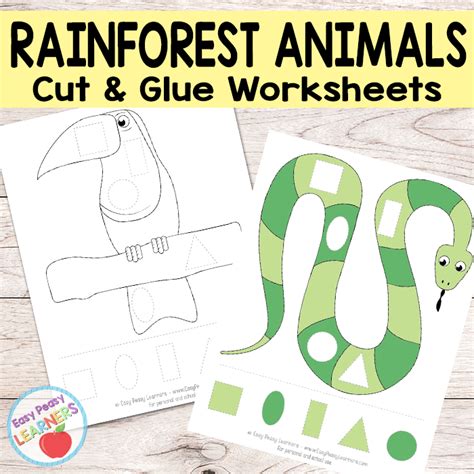 Rainforest Animals For Preschoolers Books About The Jungle What Can