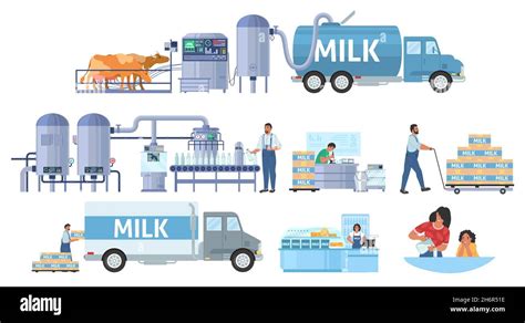 Milk Production Vector Infographic Cattle Farming Dairy Factory