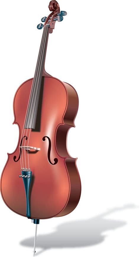 Cello Free Vector Download Freeimages
