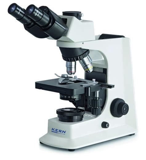 The Different Types Of Microscopes A Comprehensive Guide Microscope