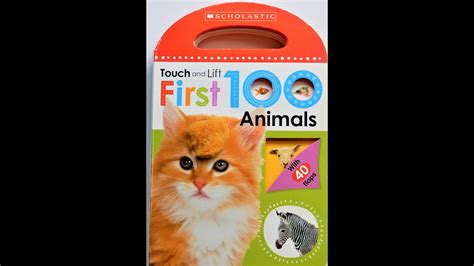 First 100 Animals Touch And Lift The Flaps Book Read Aloud With Music