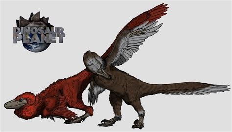 Pin on King Rexy