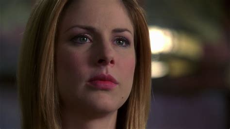 A D A Casey Novak Season Eight Diane Neal Law And Order Law And